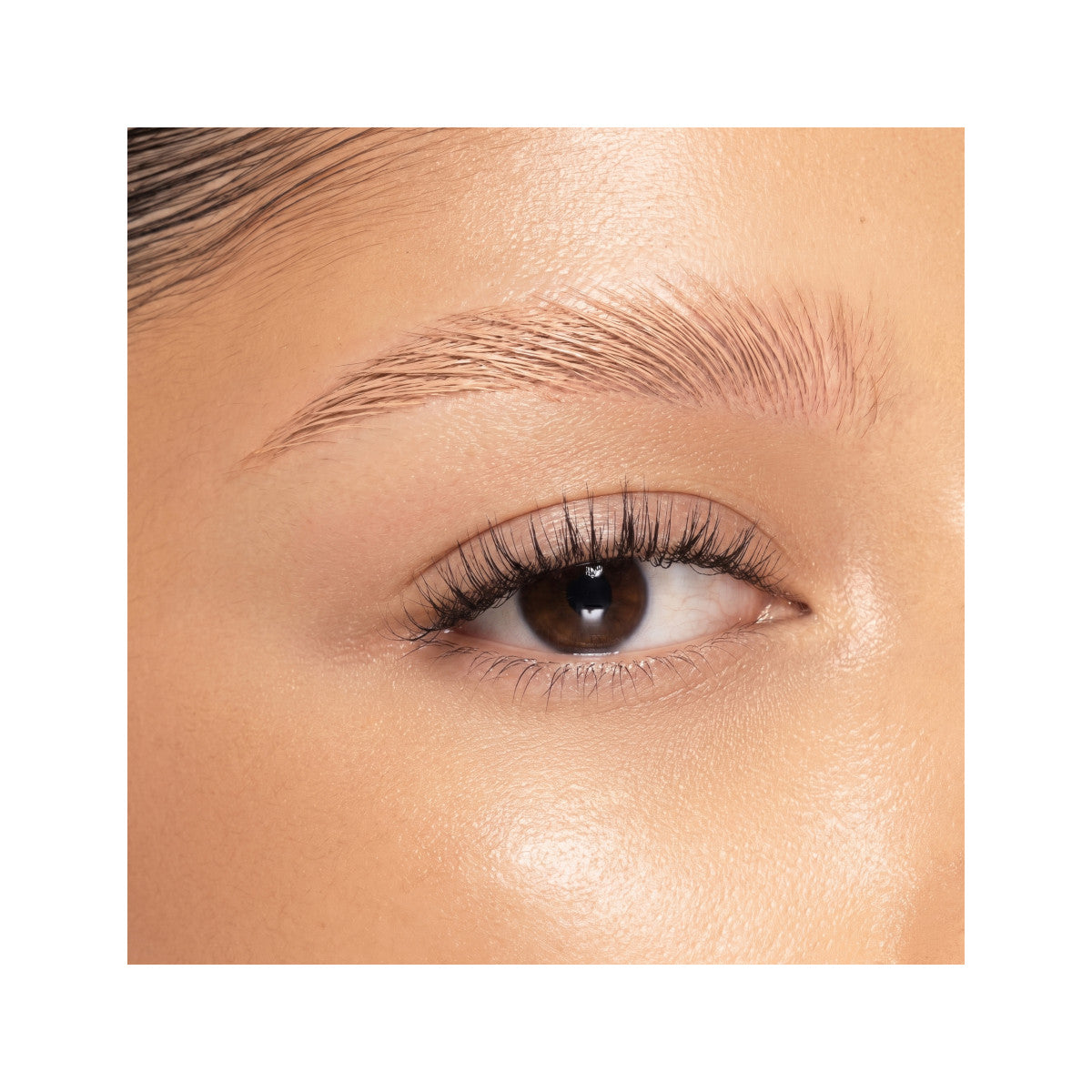 invisibrow-gel-14-14-2026_PMG_Eyes_Invisibrow_Shade2_Macro_Edits_Biel_1 Invisibrow Gel